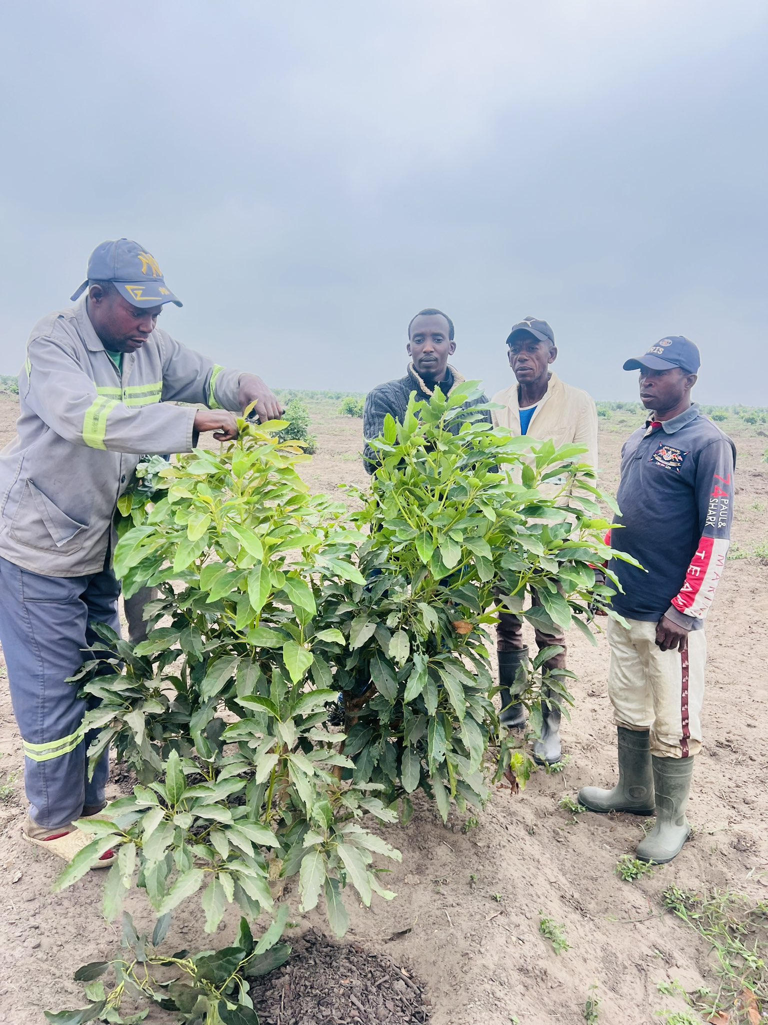 Sustainable Farming