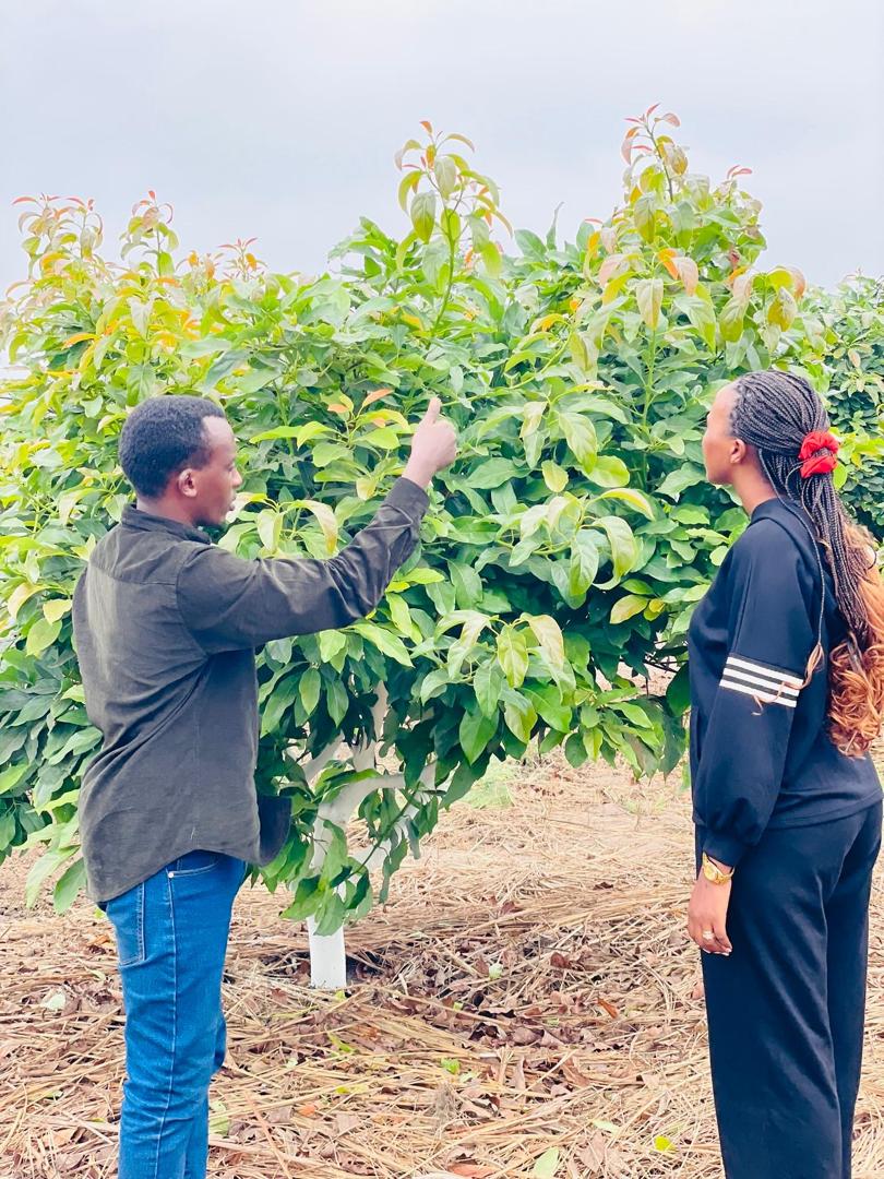 Field Visit 
